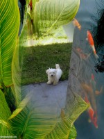 /album/galleria-foto-homepage/fiona-26-maggio-jpg/